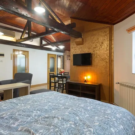 Center V Apartament *